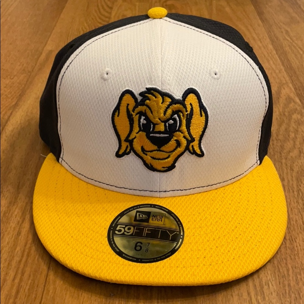 Charleston Riverdogs hat